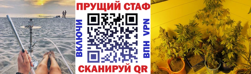Виды наркотиков купить Малгобек Cocaine Alpha-PVP Марихуана Псилоцибиновые грибы Меф