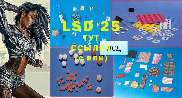 бошки Ладушкин