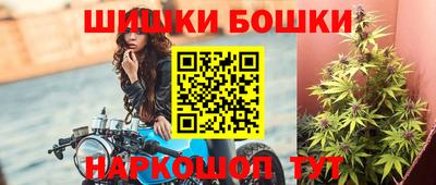 сатива Аргун