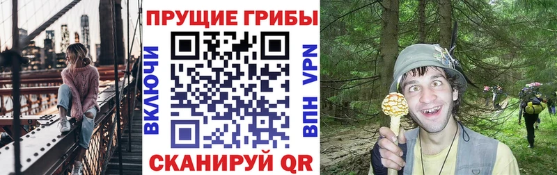 магазин  наркотиков  Малгобек  Псилоцибиновые грибы ЛСД 