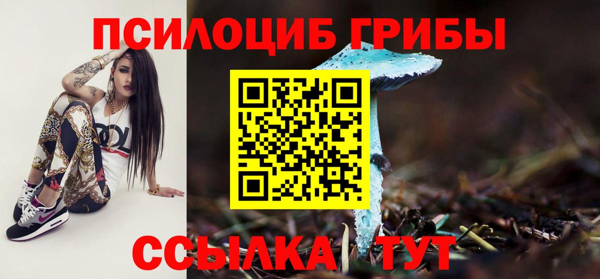 Псилоцибиновые грибы GOLDEN TEACHER Малгобек