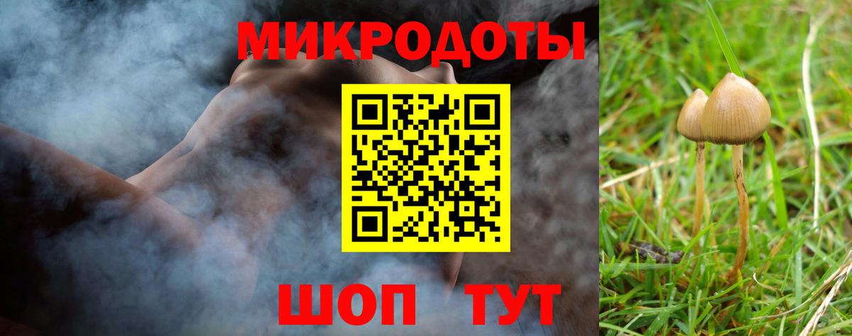 Малгобек  Галлюциногенные грибы ЛСД  Вход с VPN 